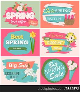 Spring sale, discount and best offer, label with rose, lilac and violet, daisy bouquet. Advertisement decorated by flowers, greeting for ladies vector. Early spring and summer flower for wedding. Springtime Label with Flowers, Web Offer Vector