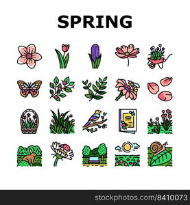 spring season flower nature icons set vector. flora plant, green leaf, blossom garden, beauty fresh tree, grass sky, beautiful spring season flower nature color line illustrations. spring season flower nature icons set vector