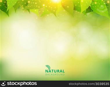 Spring summer natural green background with leaves and lighting effect. Vector illustration. Spring summer natural green background with leaves and lighting