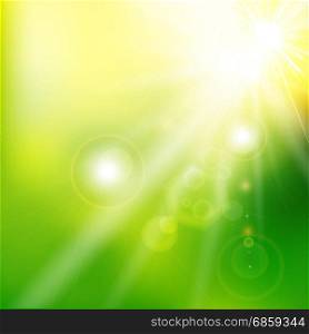 Spring summer sunlight flare abstract green color background. Vector illustration