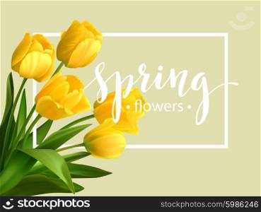 Spring text with tulip flower. Vector illustration. Spring text with tulip flower. Vector illustration EPS10