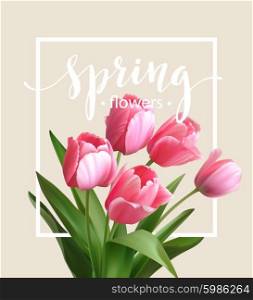 Spring text with tulip flower. Vector illustration. Spring text with tulip flower. Vector illustration EPS10