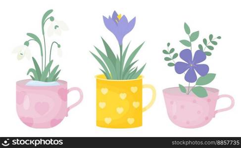 Spring time. Collection spring flowers in cups. Bouquet of white snowdrop, purple crocus and periwinkle flower. Vector illustration in flat style. Isolated first seasonal flowers