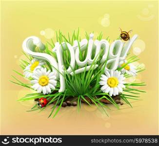 Spring, time for a picnic, grass, flowers of camomile, a ladybug and a bee in the garden, an universal background