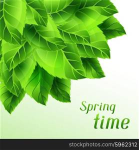 Spring time illustration with bunch of green leaves. Card template or ecology concept floral design for packaging, greeting cards and advertising.