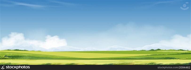 Spring time,Summer landscape in village with meadow on hills,cloud and blue sky background.Panorama countryside fram field, mountain and green grass in Morning,Vector Cartoon Beautiful Nature banner