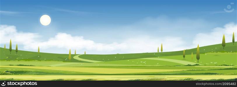 Spring time,Summer sunny day landscape in village with green field, cloud and blue sky background.Rural countryside with mountain, grass land and sunlight in Morning,Vector Cartoon Nature banner