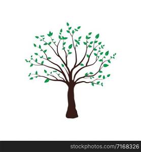 Spring tree green for your design