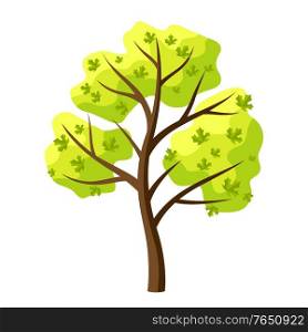 Spring tree with green leaves. Natural seasonal decorative illustration.. Spring tree with green leaves.