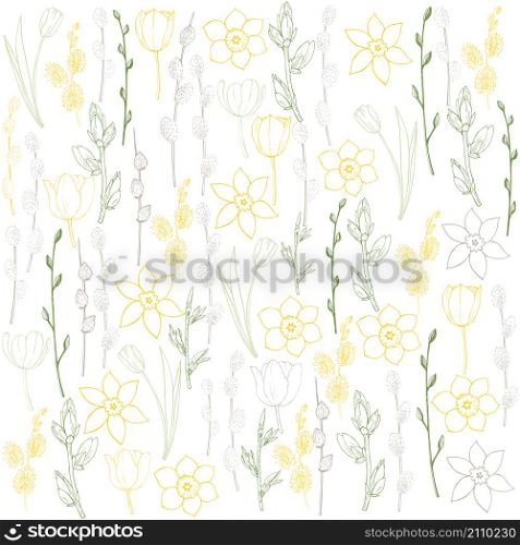 Spring vector background with tulips and daffodils.