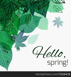 Spring vector card with doodle and green leaves for postcard, flyers, brochures and your business. Spring vector card with doodle and green leaves for postcard, fl