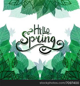 Spring vector card with Handwritten Lettering Hello, Spring with decoration and doodle, green leaves for postcard, flyers, brochures and your business. Spring vector card with Handwritten Lettering Hello, Spring with decoration and doodle, green leaves