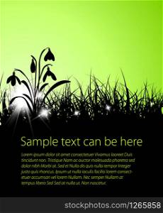 Spring vector grass background with place for your text