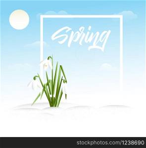 Spring vector grass background with place for your text. Spring vector grass background