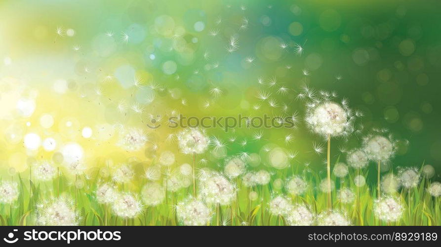 Spring vector image