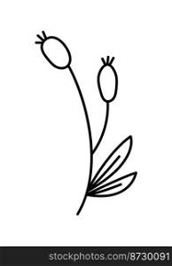 Spring Vector stylized hand drawn branch with berries and leaves. outline vector icon in scandinavian style. Illustration art element. Decorative image for greeting card or poster.. Spring Vector stylized hand drawn branch with berries and leaves. outline vector icon in scandinavian style. Illustration art element. Decorative image for greeting card or poster