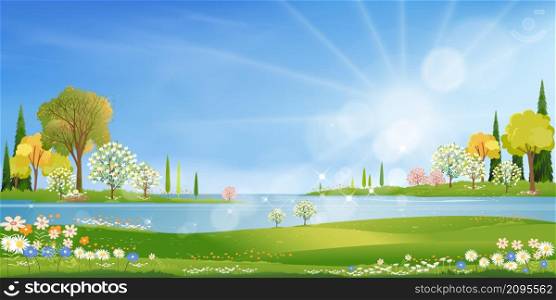 Spring village with green field by the lake, blue sky and clouds,Backdrop Rural nature landscape in springtime with grass land, flower and sun shining,Vector Spring and Summer banner background