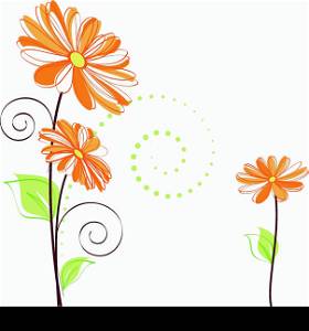 Springtime colorful Daisy flower on white background