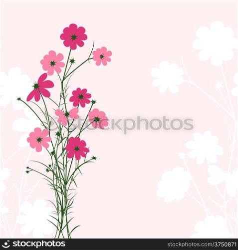 Springtime Colorful Flower on Pink Background