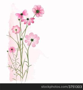 Springtime Colorful Flower on White Background. Image contains a gradient mesh