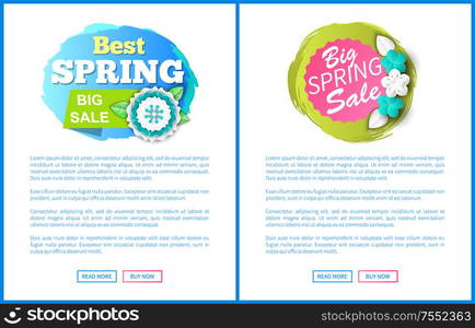 Springtime sale certificate with best prices offer. Vector web page with text sample, buttons read more and buy now. Cost reduction informative leaflets. Springtime Sale Certificate with Best Prices Offer