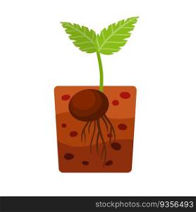 Sprout of plant. Small green leaves. Sprouted seed. Farm and gardening. Planting of crop in ground. Layer of brown earth and soil.. Sprout of plant. Small green leaves.