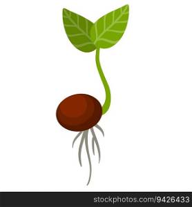 Sprout of plant. Small green leaves. Sprouted seed. Farm and gardening. Planting of crop. Element of nature and flora. Start of tree growth. Flat cartoon illustration. Sprout of plant. Small green leaves