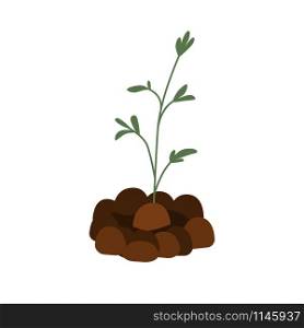 Sprout plants illustration. Greenery, gardening in flat design. Grass isolated. Seedling, cultivation Vector illustration. Sprout plants illustration. Greenery, gardening in flat design. Grass isolated.