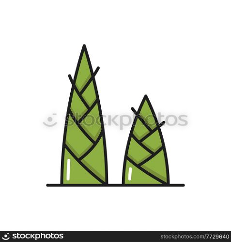 Sprouts of green bamboo plant isolated color line icon. Vector Thailand or Thai cuisine dishes ingredient, vegetarian food snack, healthy bamboo shoots or roots, asian plant. Wild growing bamboo. Green bamboo shoots or sprouts isolated line icon