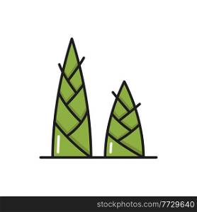 Sprouts of green bamboo plant isolated color line icon. Vector Thailand or Thai cuisine dishes ingredient, vegetarian food snack, healthy bamboo shoots or roots, asian plant. Wild growing bamboo. Green bamboo shoots or sprouts isolated line icon