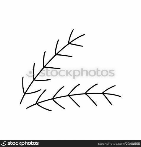 Spruce branch in doodle style. Vector linear icon. Sticker for New Year and Christmas.