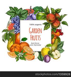 Square banner template. Garden fruits, colored hand drawn vector illustrations.