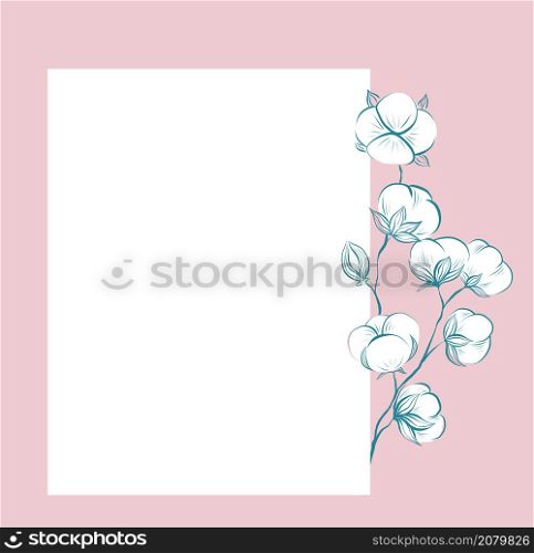 Square delicate card with sketches of cotton plant and stems, copy space on pink background. Vector gentle outline herbal template with stems, fluffy balls and place for text. Contour natural postcard. Square delicate card with sketches of cotton plant and stems, copy space on pink background. Vector gentle outline herbal template with stems, fluffy balls and place for text.