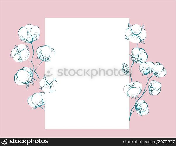 Square delicate card with sketches of cotton plant and stems, copy space on pink background. Vector gentle outline herbal template with stems, fluffy balls and place for text. Contour natural postcard. Square delicate card with sketches of cotton plant and stems, copy space on pink background. Vector gentle outline herbal template