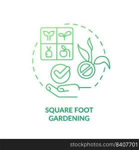 Square foot gardening green gradient concept icon. Divide into small parts. Gardening method abstract idea thin line illustration. Isolated outline drawing. Myriad Pro-Bold font used. Square foot gardening green gradient concept icon