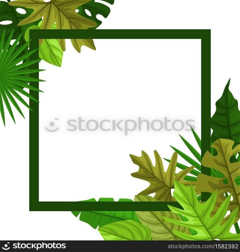 Square Green Tropical Plant Summer Leaf Border Frame Background