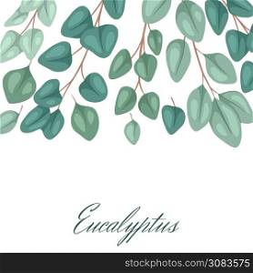 Square postcard with flat eucalyptus with place for text. Botanical color illustration of eucalyptus populus. Vector color template for invitation, greeting card and your creativity. Square postcard with flat eucalyptus with place for text. Botanical color illustration of eucalyptus populus. Vector color template