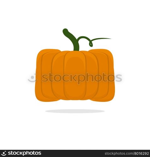 Square pumpkin. Unusual Vegetable for Halloween. Vegetable fruit cubic form&#xA;