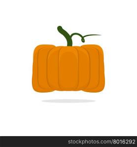 Square pumpkin. Unusual Vegetable for Halloween. Vegetable fruit cubic form&#xA;