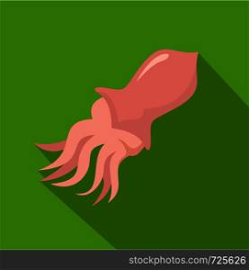 Squid icon. Flat illustration of squid vector icon for web. Squid icon, flat style