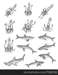 Squids, sharks and hammerhead shark animal vector sketches, ancient map design elements. Vintage hand drawn deep sea monsters with engraved tentacles, tails and fins, isolated underwater predators. Squids and sharks animal vector sketches