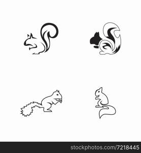 Squirrel icon and symbol vector illustration