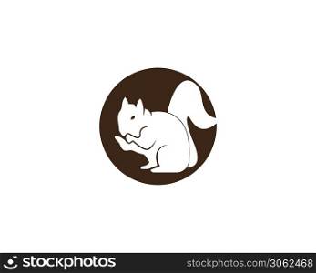 Squirrel image logo symbol vector illustration on white background