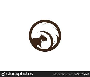 Squirrel image logo symbol vector illustration on white background