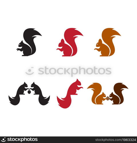 Squirrel logo template illustration design