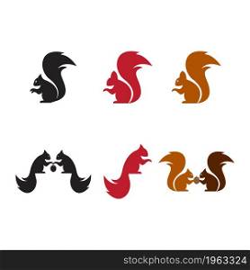 Squirrel logo template illustration design