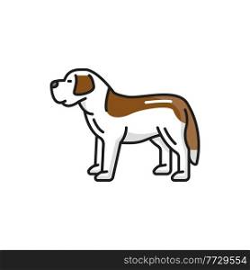 St. Bernard Swiss mountain dog isolated animal pet flat line icon. Vector Bernese sennenhund puppy in white and brown color. Funny character domestic pet friend, Switzerland hunting guard dog. Swiss mountain dog breed profile view isolated
