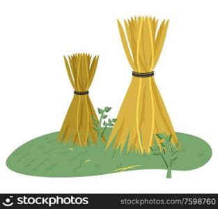 Stack of hay on grass, dried yellow plant standing outdoor, wheat harvest, nobody farmland, agriculture or farm element, haystack on grass vector. Haystack on Grass, Wheat Harvest, Farmland Vector