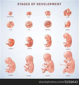 Stages Human Embryonic Development . Set of isolated decorative icons showing stages of human embryonic development with period clarification in months realistic vector illustration