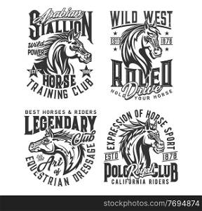 Stallion horse and wild mustang vector t-shirt print mockups. Equestrian sport, horse race, rodeo and polo club custom apparel template with head of purebred horse animal, mane and star grunge badges. Stallion horse and wild mustang t-shirt print